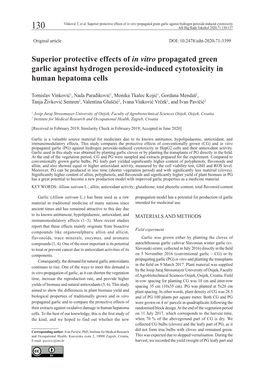Superior Protective Effects of in Vitro Propagated Green Garlic Against Hydrogen Peroxide-Induced Cytotoxicity 130 Arh Hig Rada Toksikol 2020;71:130-137