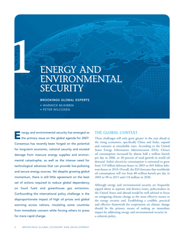 Energy and Environmental Security
