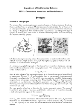 Synapses Models of the Synapse