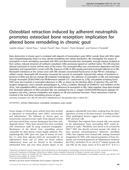 Osteoblast Retraction Induced by Adherent Neutrophils