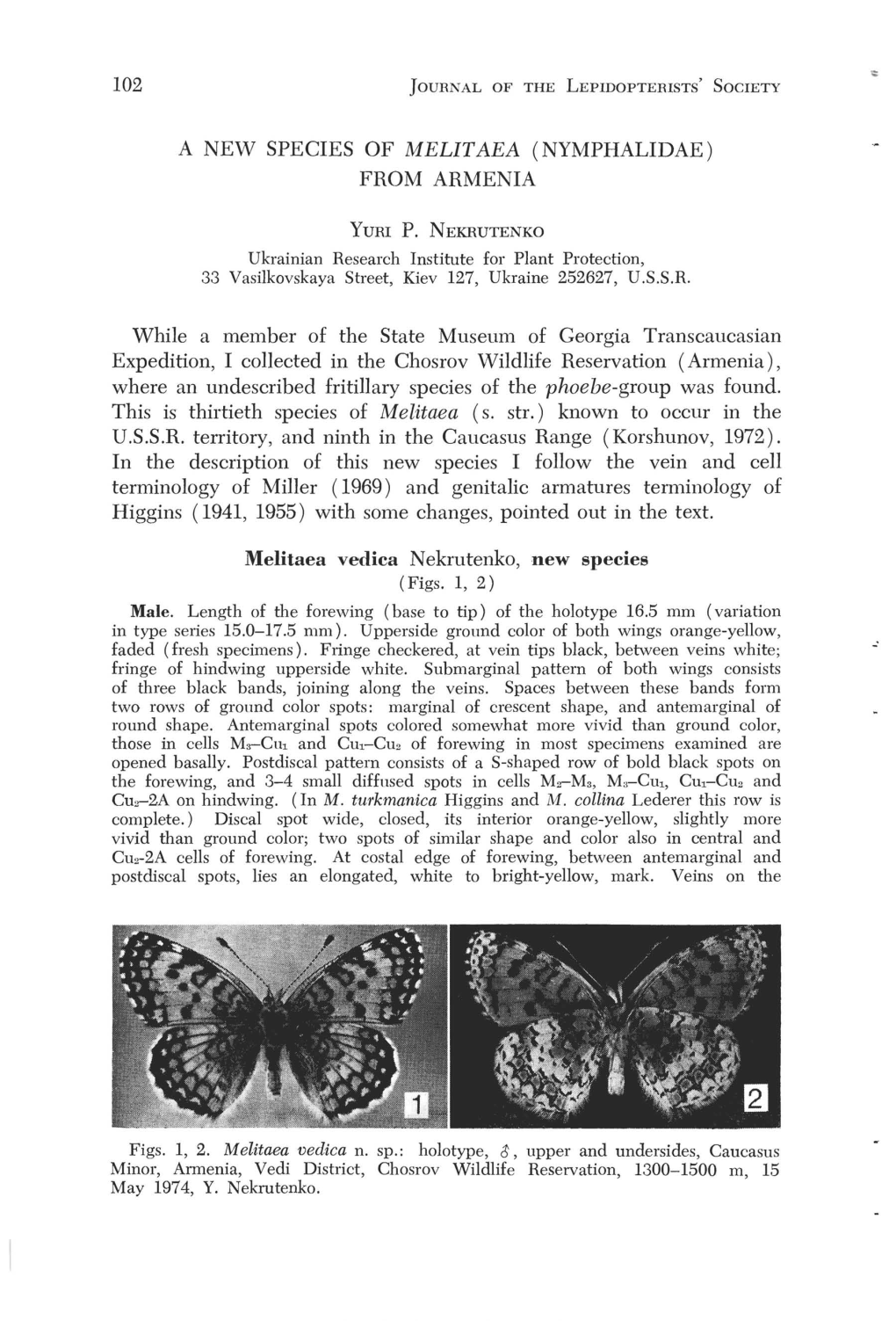 102 a New Species of Melitaea (Nymphalidae) from Armenia