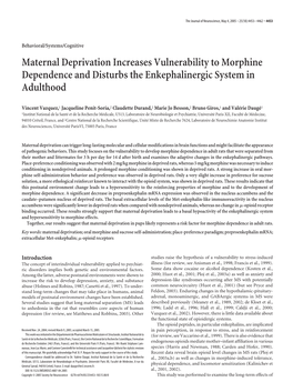 Maternal Deprivation Increases Vulnerability to Morphine Dependence and Disturbs the Enkephalinergic System in Adulthood