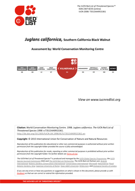 Juglans Californica, Southern California Black Walnut