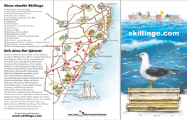 Skillinge.Com 15