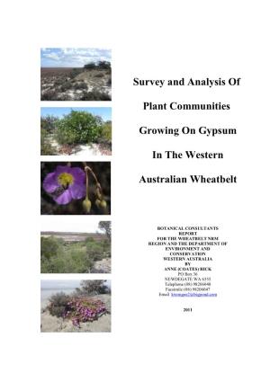 Survey and Analysis of Plant Communities Growing on Gypsum