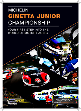 Ginetta Junior Championship Your First Step Into the World of Motor Racing