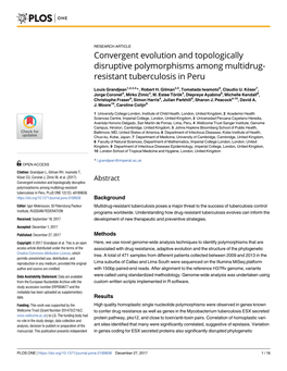 Convergent Evolution and Topologically Disruptive Polymorphisms Among Multidrug- Resistant Tuberculosis in Peru