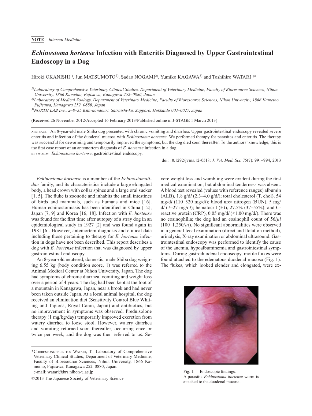 Echinostoma Hortense Infection with Enteritis Diagnosed by Upper Gastrointestinal Endoscopy in a Dog