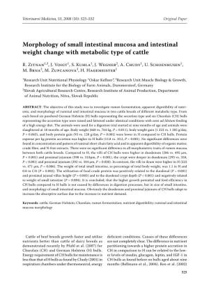 Morphology of Small Intestinal Mucosa and Intestinal Weight Change with Metabolic Type of Cattle
