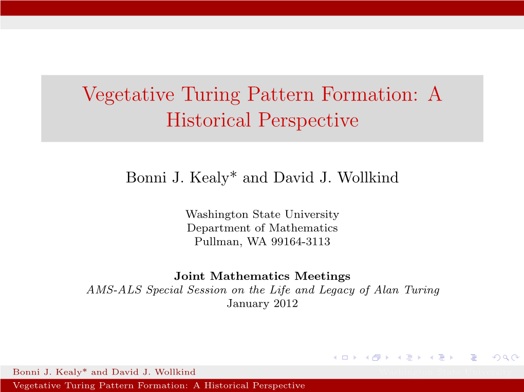 Vegetative Turing Pattern Formation: a Historical Perspective
