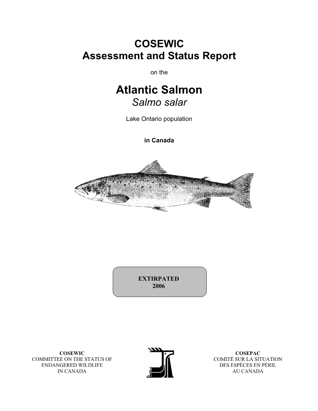 Atlantic Salmon Salmo Salar