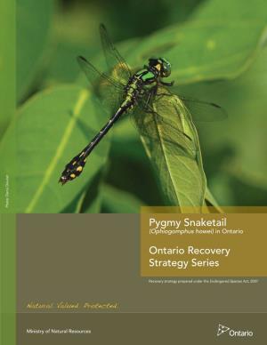 Recovery Strategy for the Pygmy Snaketail in Ontario