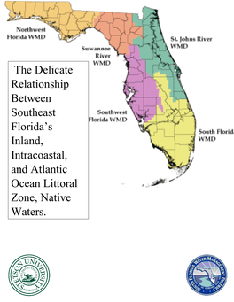 The Delicate Relationship Between Southeast Florida's Inland
