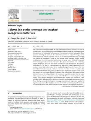 Teleost Fish Scales Amongst the Toughest Collagenous Materials