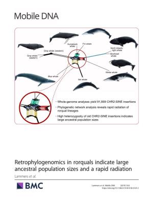 Retrophylogenomics in Rorquals Indicate Large Ancestral Population Sizes and a Rapid Radiation Lammers Et Al