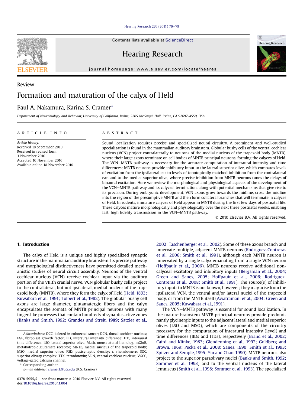 Formation and Maturation of the Calyx of Held