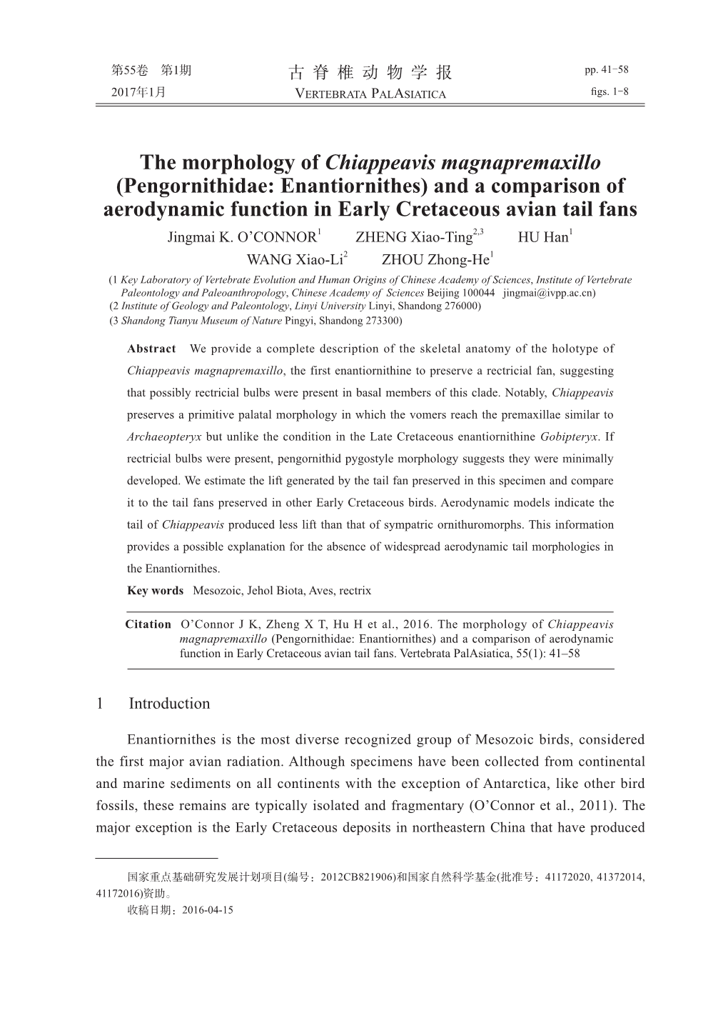 The Morphology of Chiappeavis Magnapremaxillo (Pengornithidae: Enantiornithes) and a Comparison of Aerodynamic Function in Early Cretaceous Avian Tail Fans Jingmai K