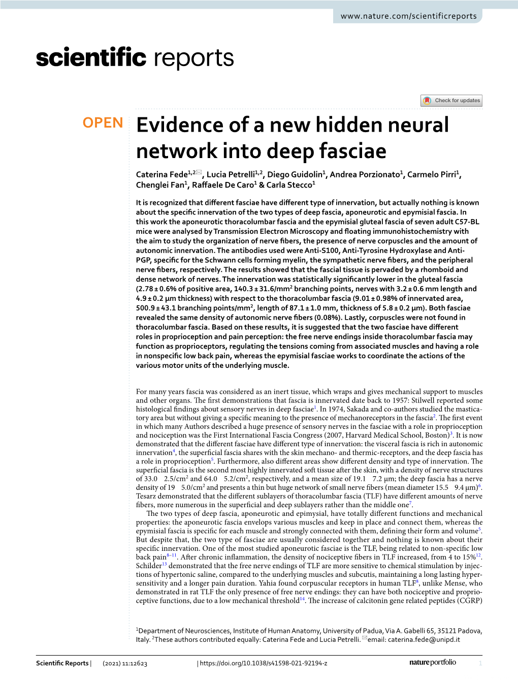 Evidence of a New Hidden Neural Network Into Deep Fasciae