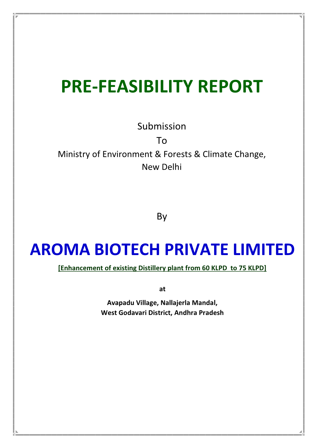 Pre-Feasibility Report