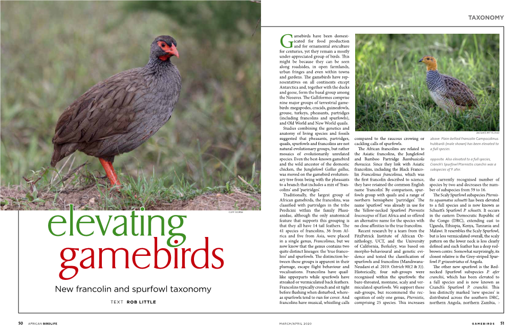 New Francolin and Spurfowl Taxonomy