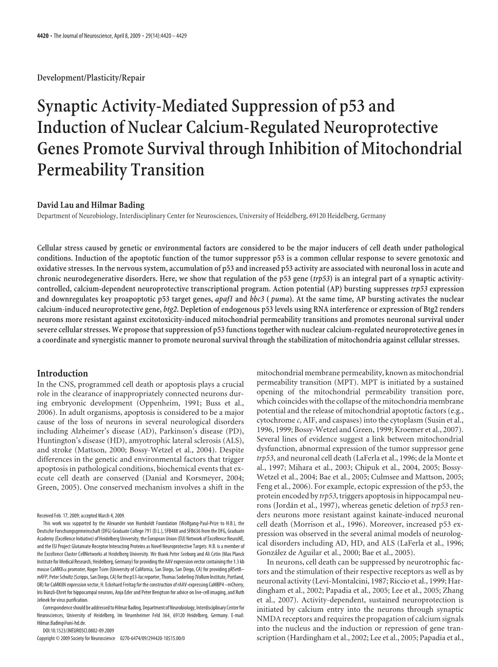 Synaptic Activity-Mediated Suppression of P53 and Induction