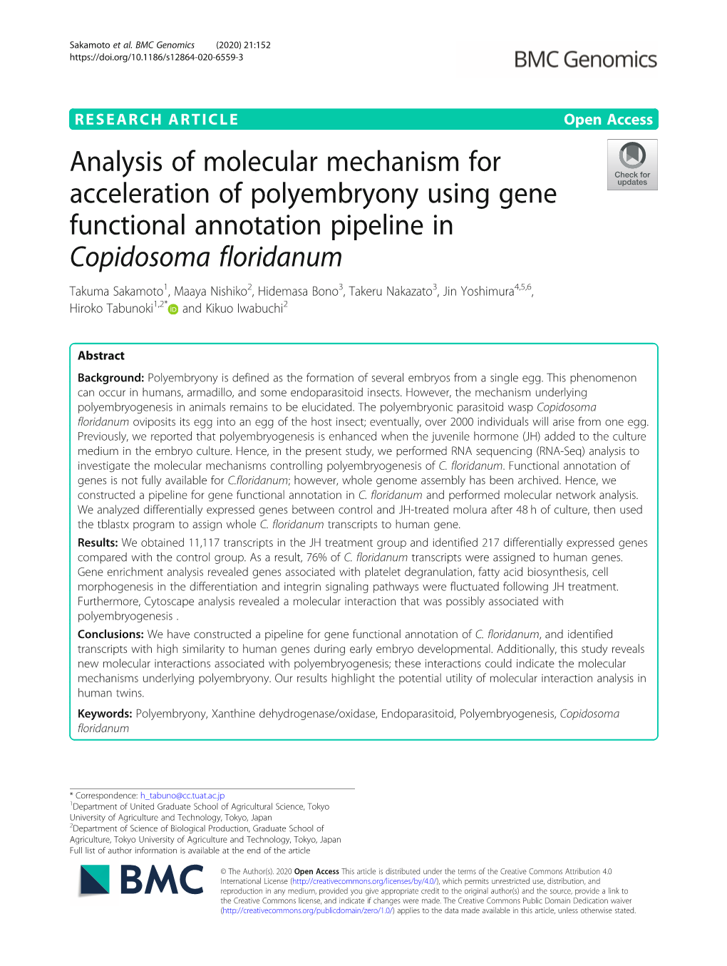 Copidosoma Floridanum