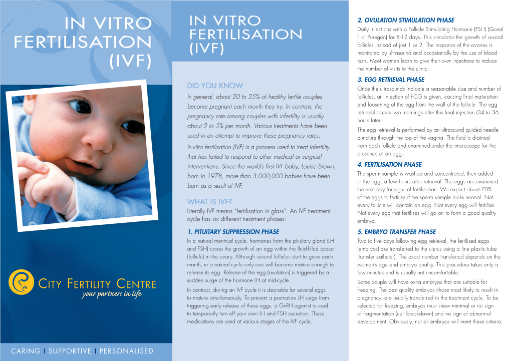 In Vitro Fertilisation (Ivf)