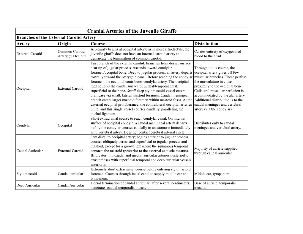Cranial Arteries of the Juvenile Giraffe