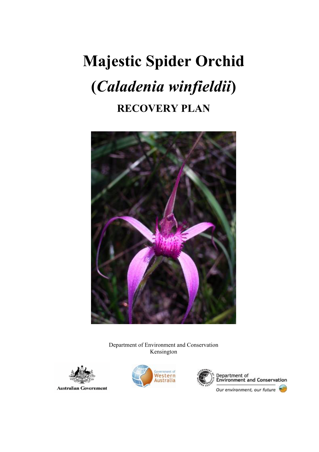 Majestic Spider Orchid (Caladenia Winfieldii) Recovery Plan