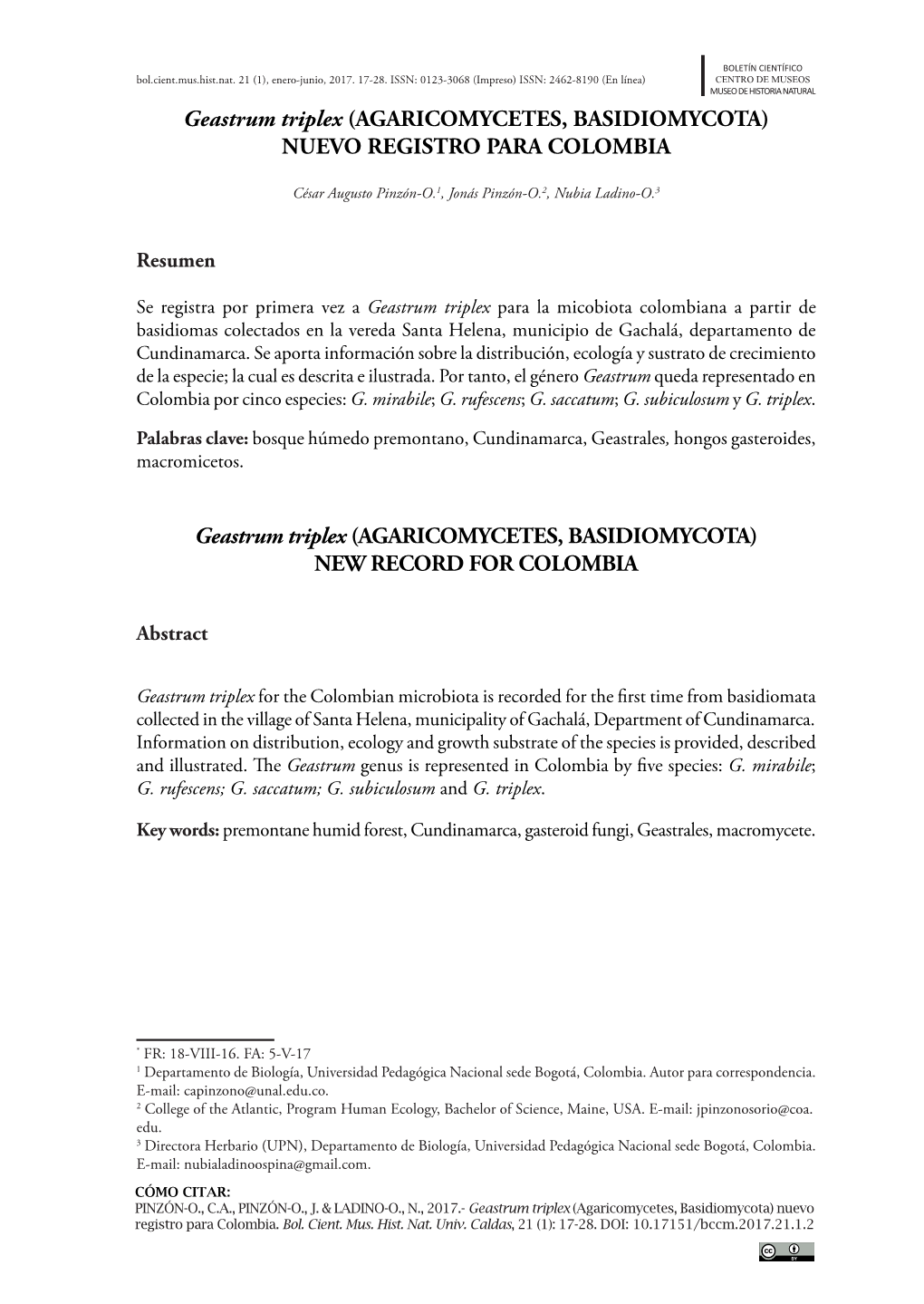 Geastrum Triplex (AGARICOMYCETES, BASIDIOMYCOTA) NUEVO REGISTRO PARA COLOMBIA