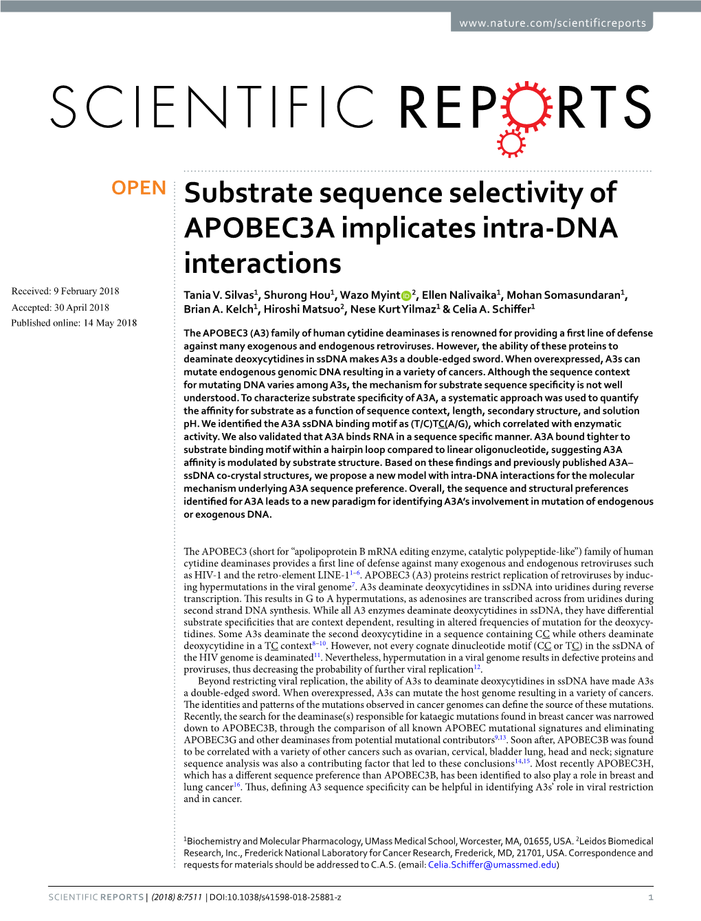 Substrate Sequence Selectivity of APOBEC3A Implicates Intra-DNA Interactions Received: 9 February 2018 Tania V