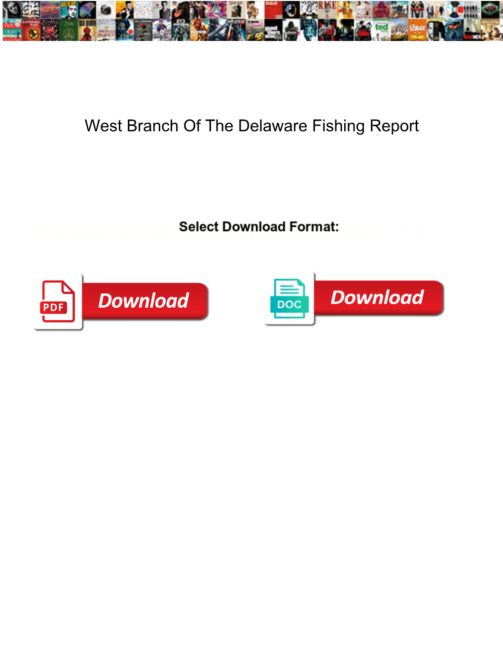 West Branch of the Delaware Fishing Report