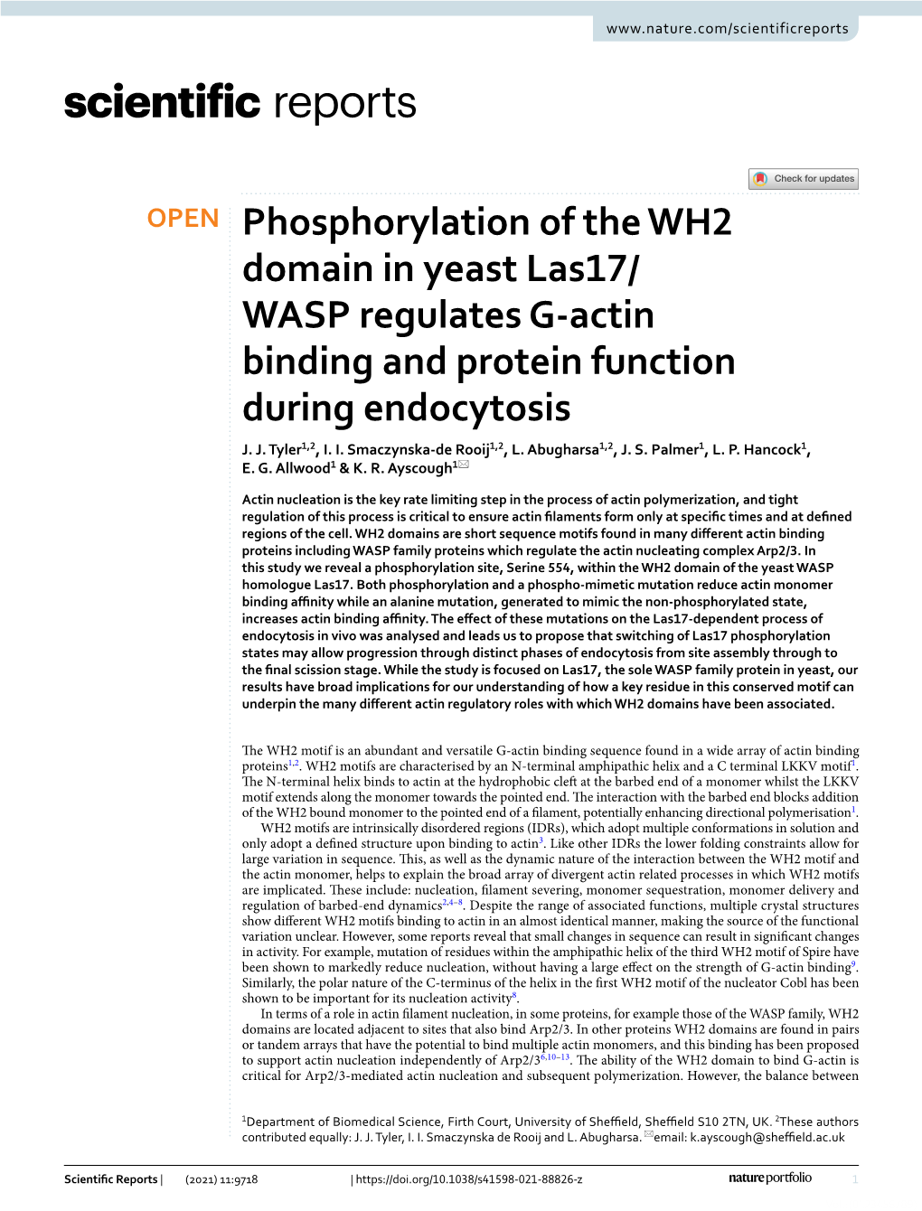 WASP Regulates G‑Actin Binding and Protein Function During Endocytosis J