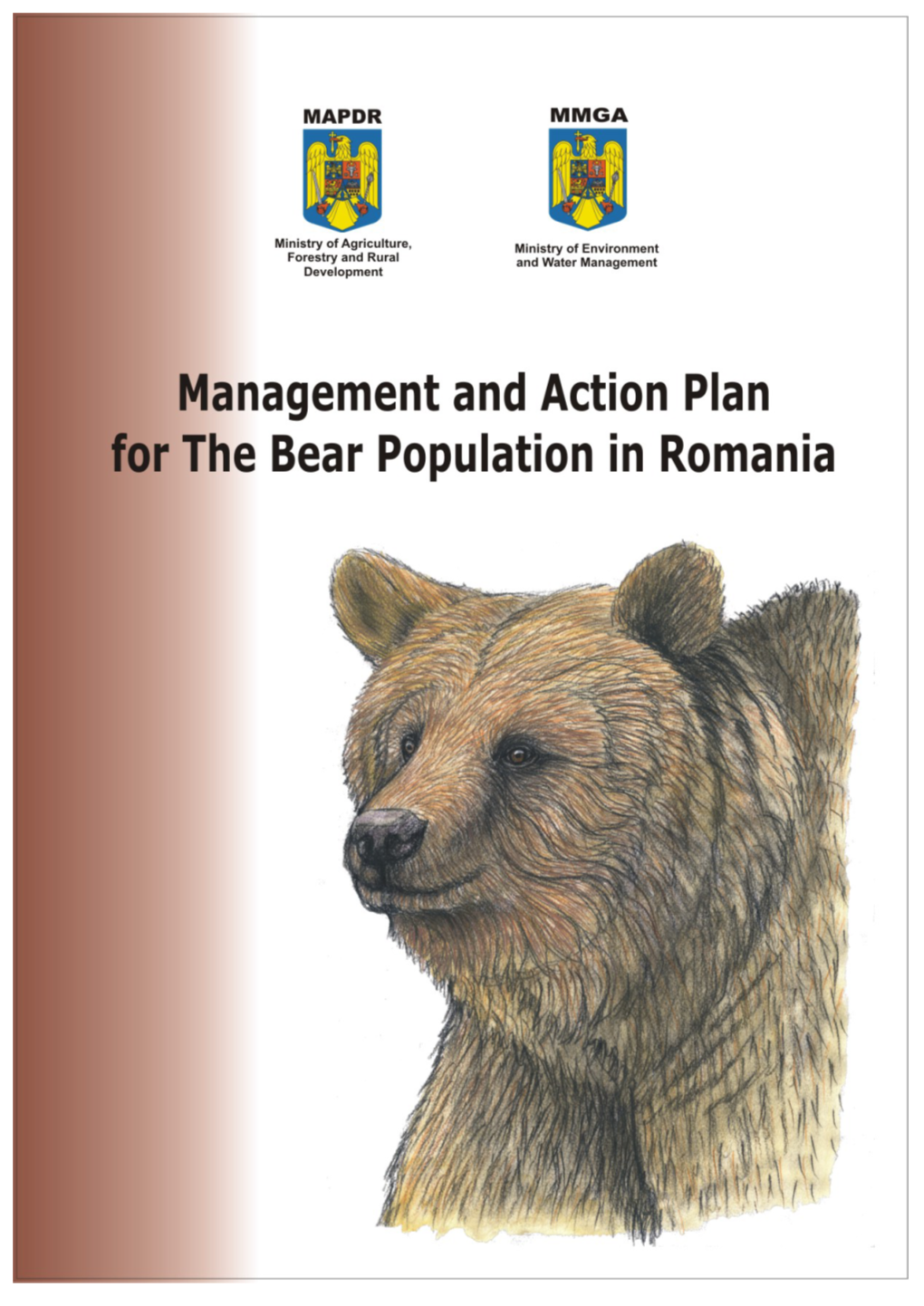 Management and Action Plan For