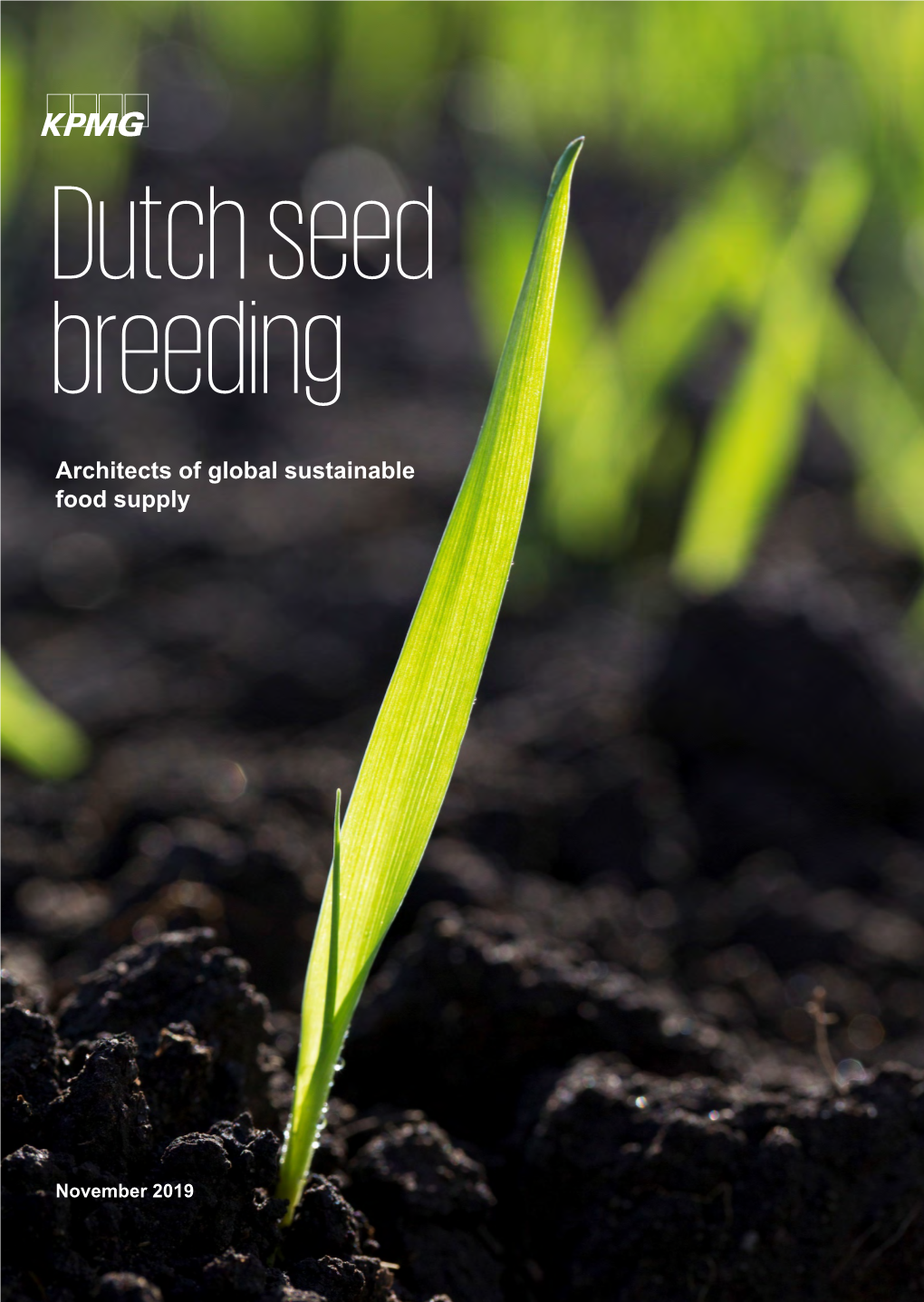 Dutch Seed Breeding