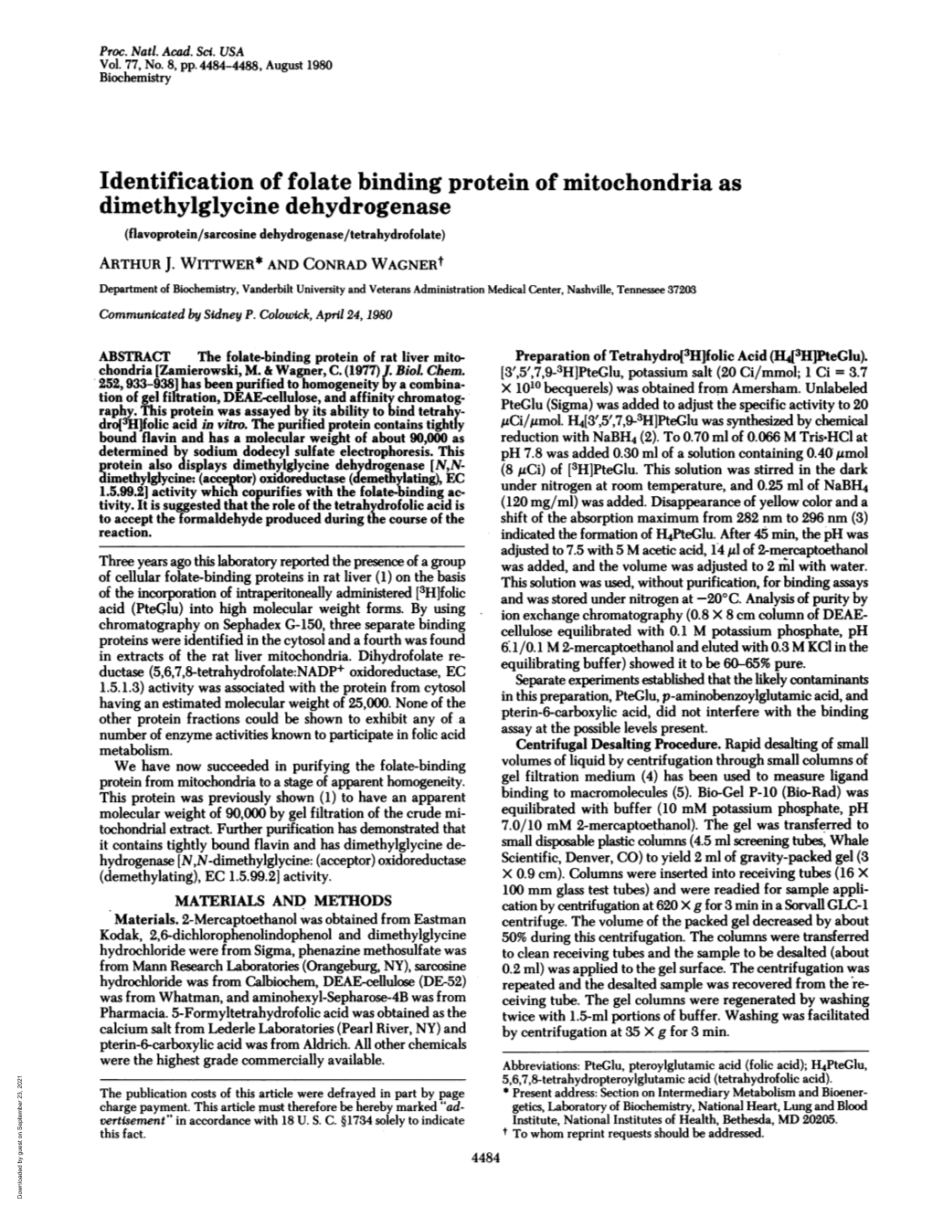 Identification of Folate Binding Protein of Mitochondria As Dimethylglycine Dehydrogenase (Flavoprotein/Sarcosine Dehydrogenase/Tetrahydrofolate) ARTHUR J