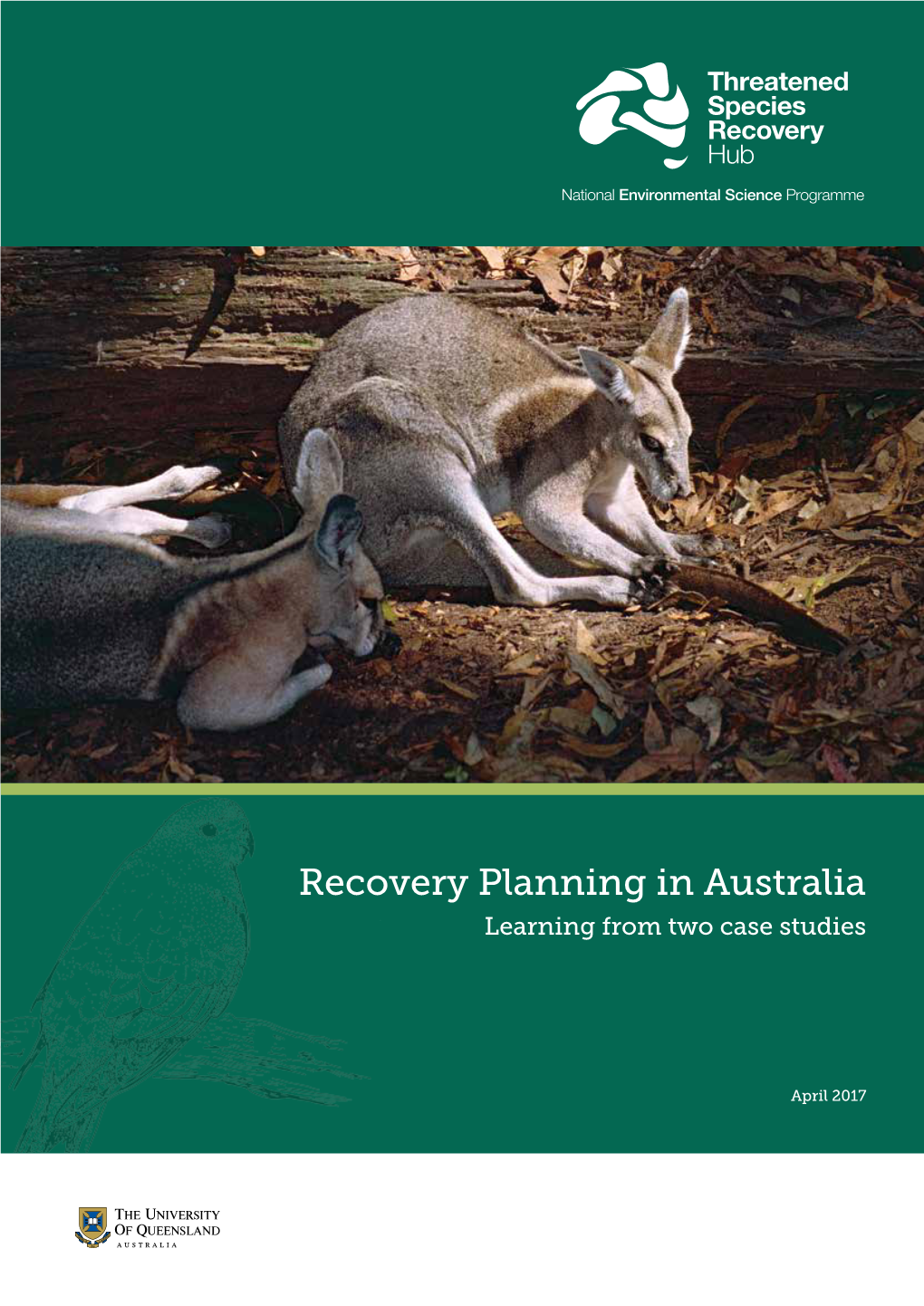 Recovery Planning in Australia Learning from Two Case Studies