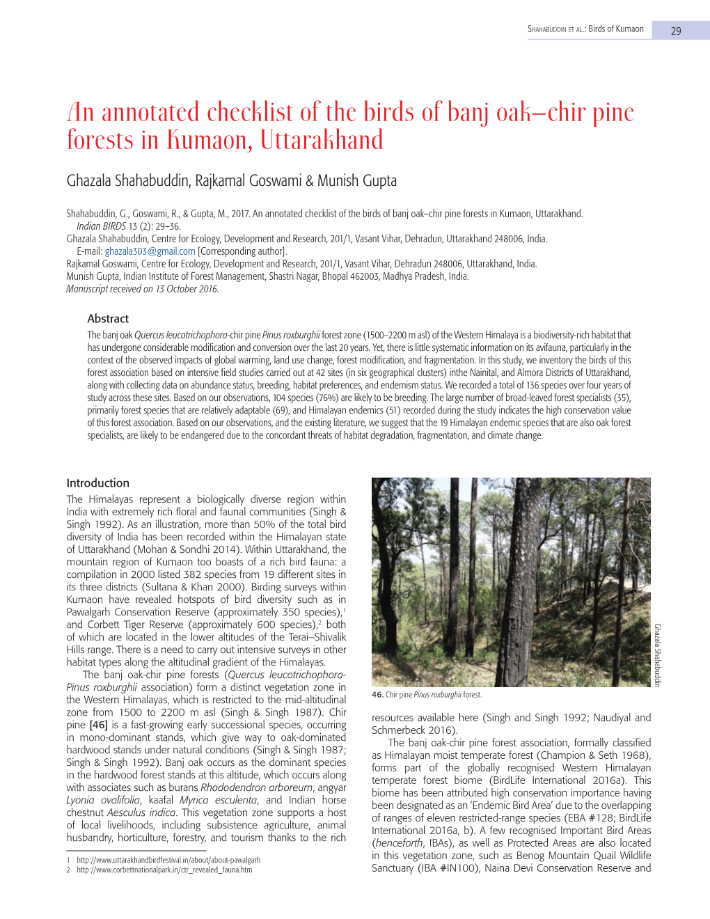 An Annotated Checklist of the Birds of Banj Oak–Chir Pine Forests in Kumaon, Uttarakhand
