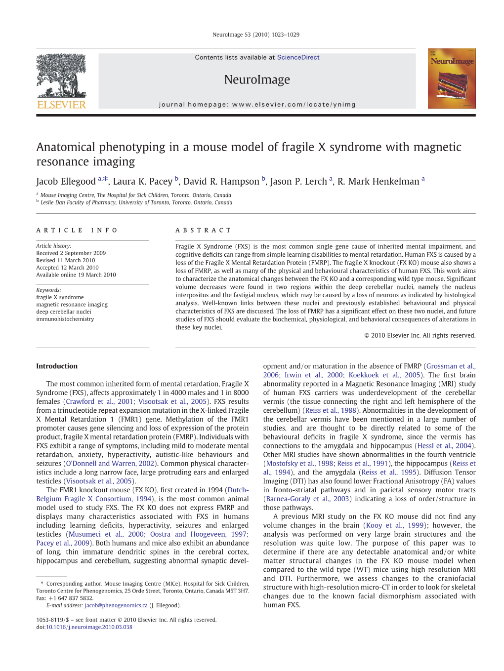 Anatomical Phenotyping in a Mouse Model of Fragile X Syndrome with Magnetic Resonance Imaging