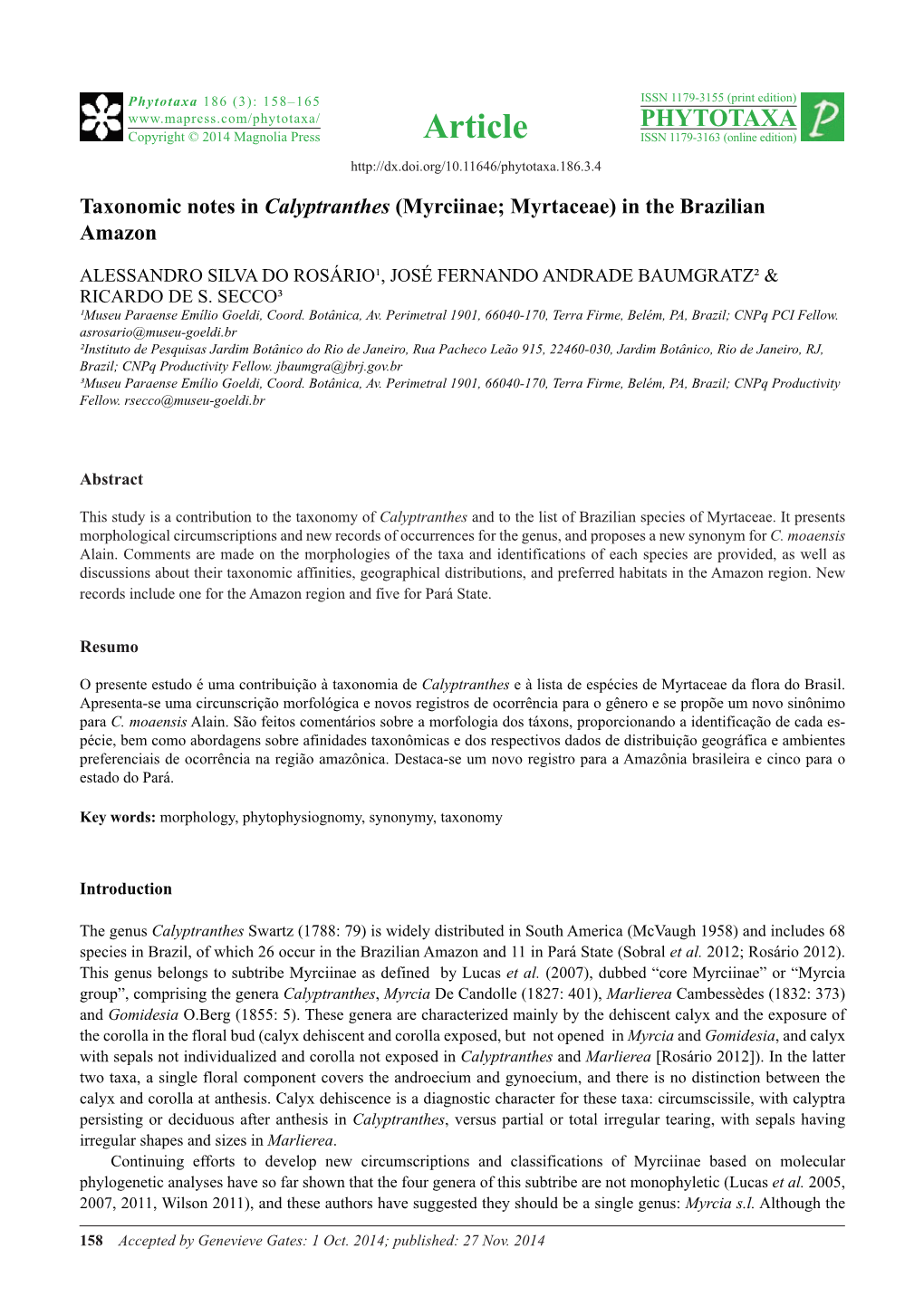 Taxonomic Notes in Calyptranthes (Myrciinae; Myrtaceae) in the Brazilian Amazon