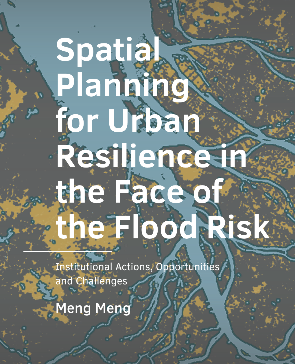 Spatial Planning for Urban Resilience in the Face of the Flood Risk: Institutional Actions, Opportunities and Challenges