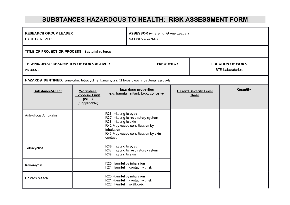 Risk Assessment Form s6