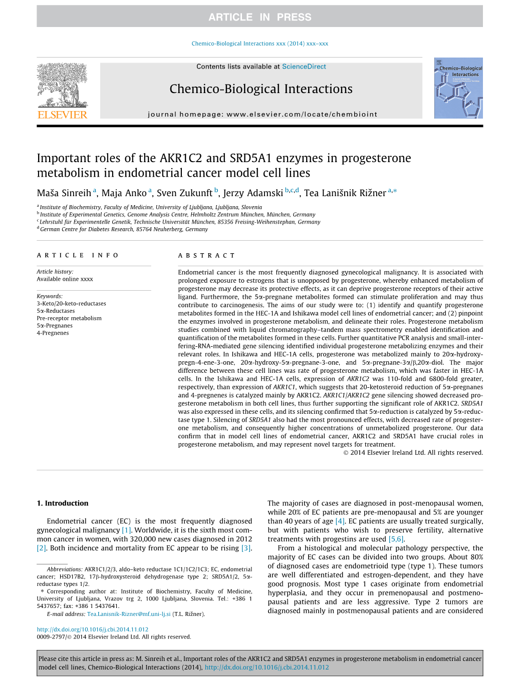 Important Roles of the AKR1C2 and SRD5A1 Enzymes in Progesterone