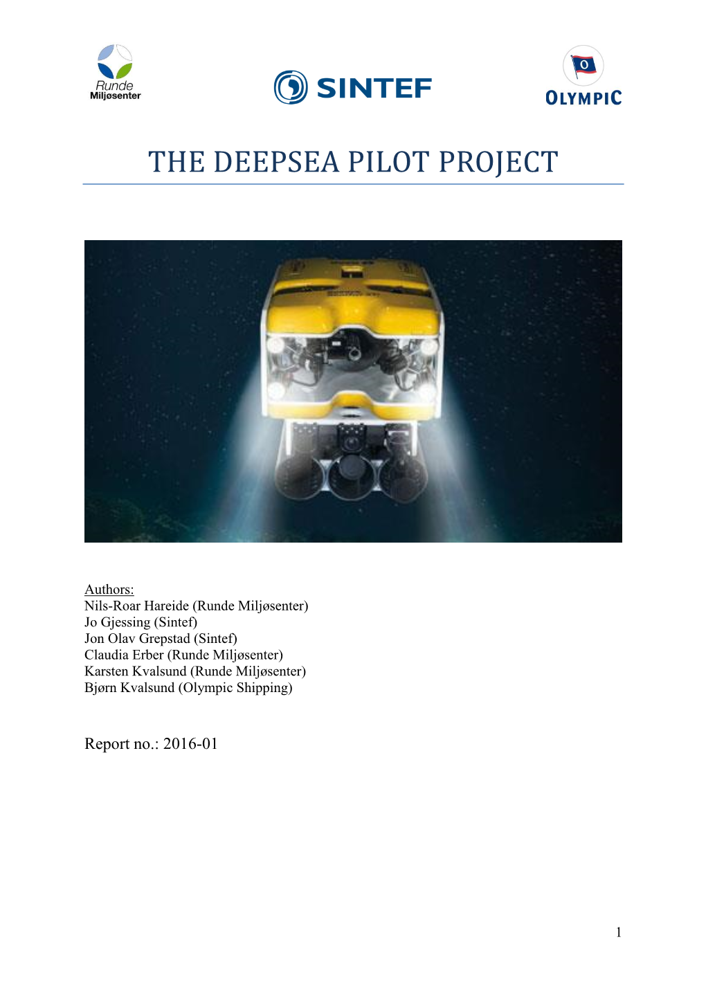 The Deepsea Pilot Project