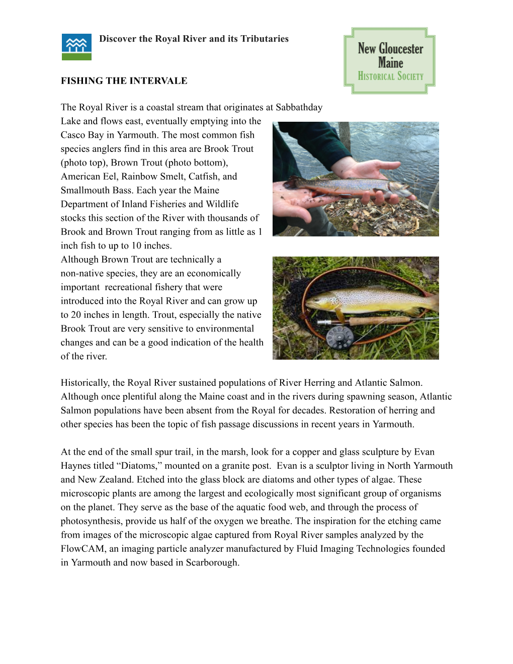 Discover the Royal River and Its Tributaries FISHING THE