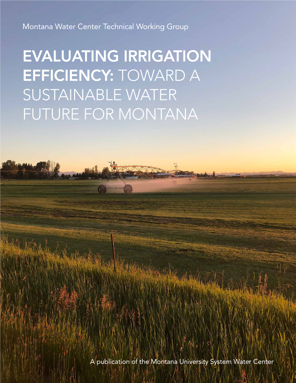 Evaluating Irrigation Efficiency: Toward a Sustainable Water Future for Montana