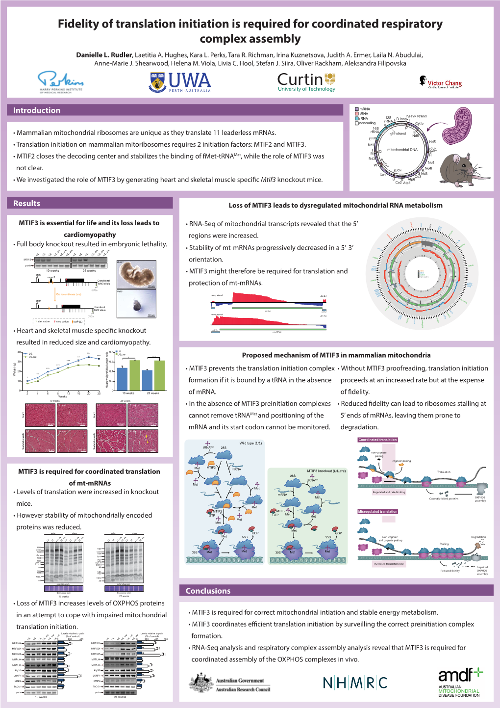 Fidelity of Translation Initiation Is Required for Coordinated Respiratory Complex Assembly Danielle L