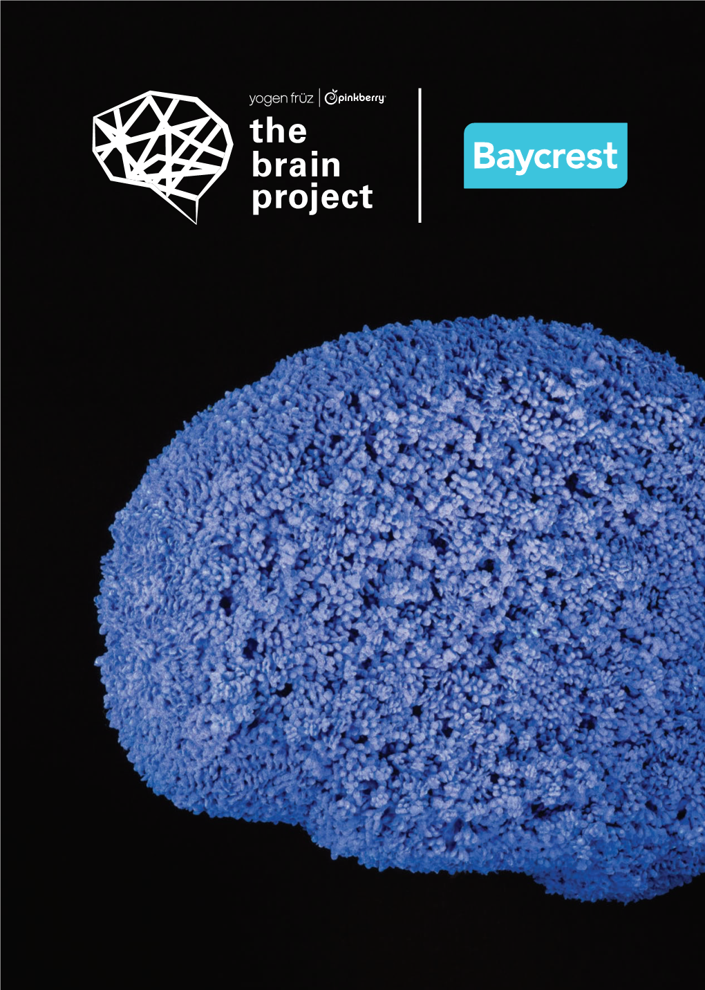 The Brain Project 2018