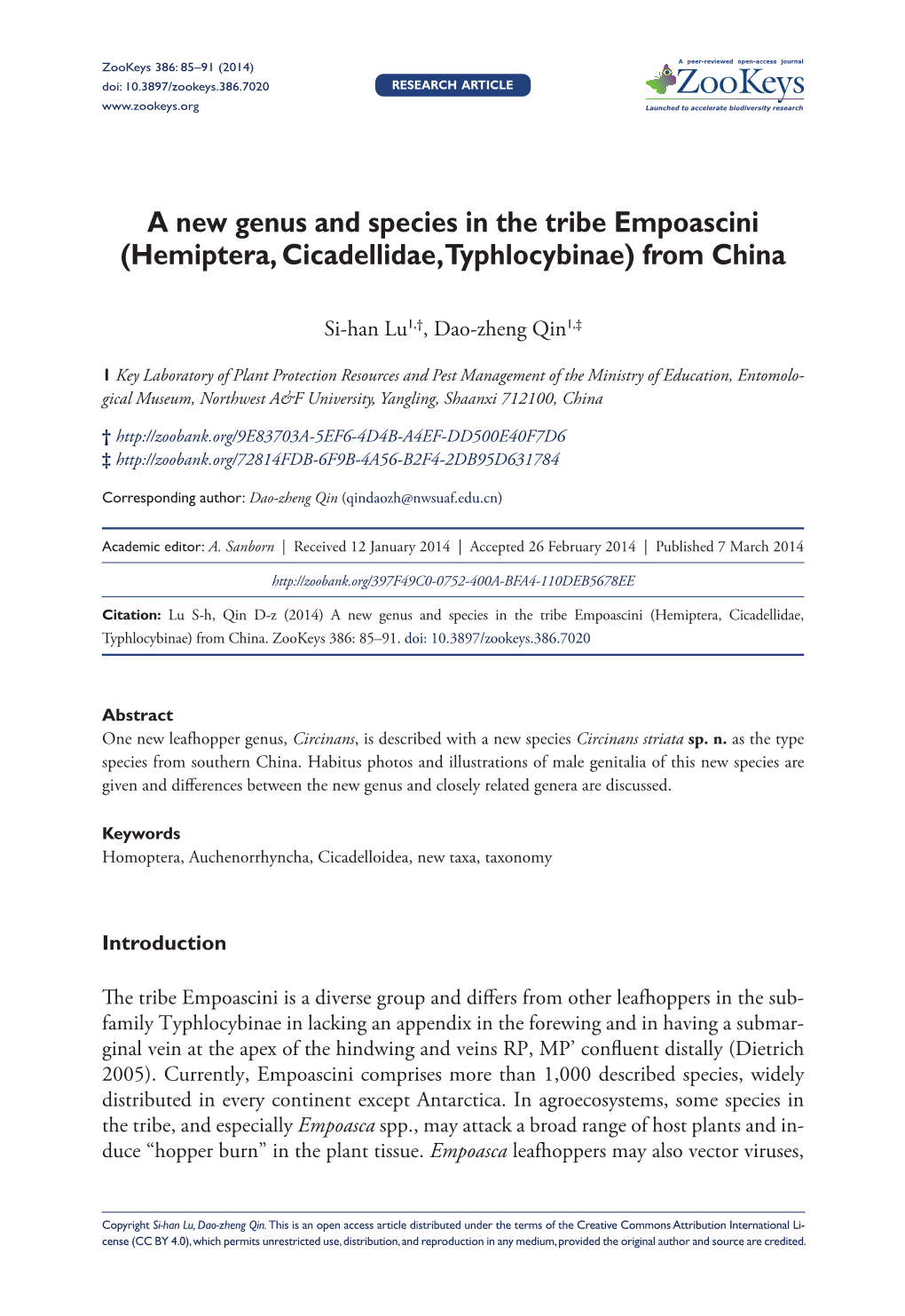 A New Genus and Species in the Tribe Empoascini (Hemiptera, Cicadellidae, Typhlocybinae) from China