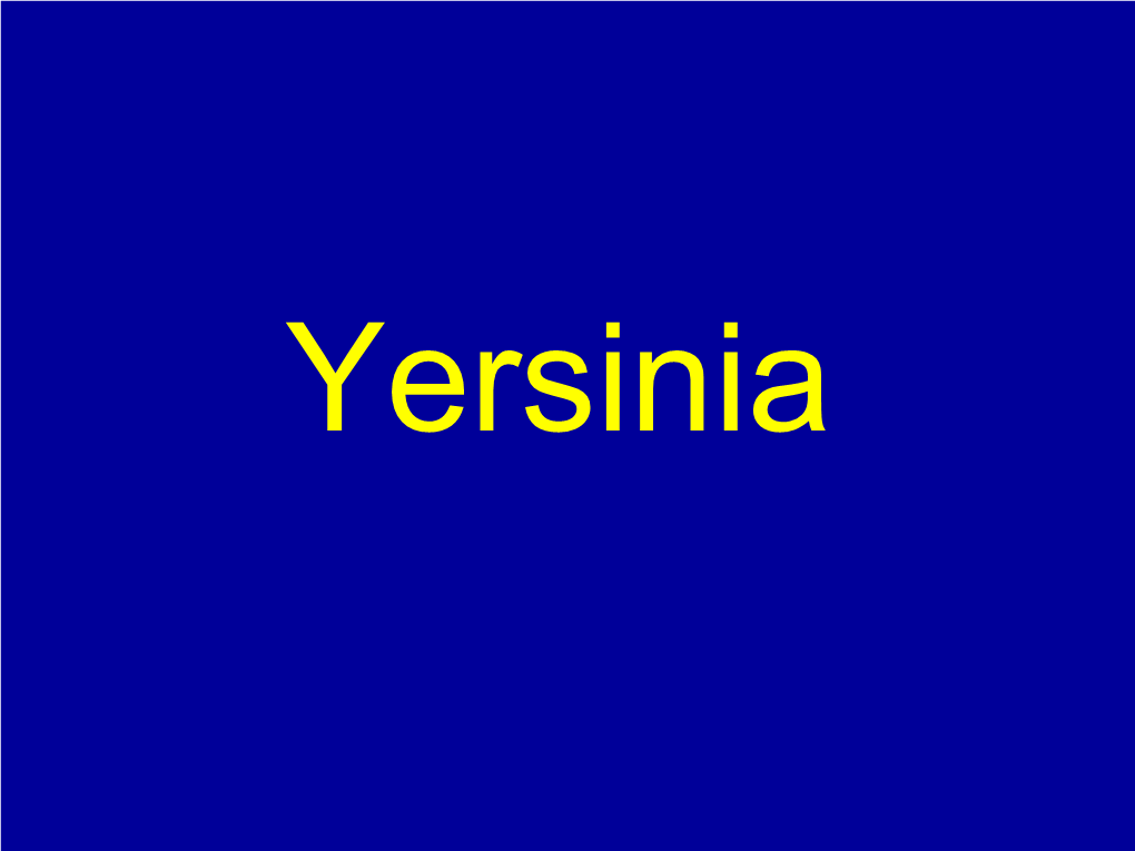 Yersinia YERSINIA Sp